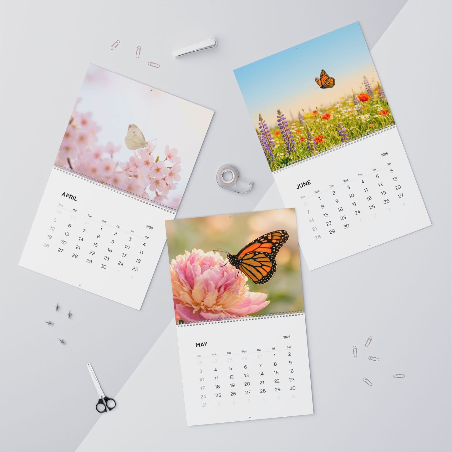 Butterflies 2026 Fine Art Wall Calendar