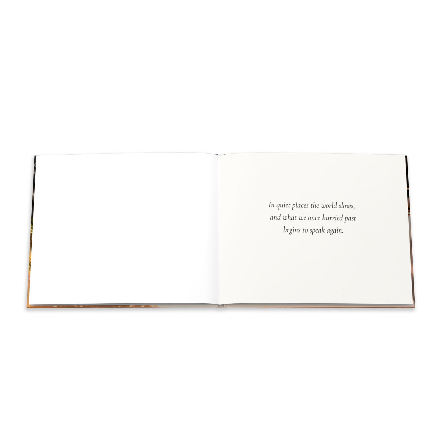 Open book with text on a white background