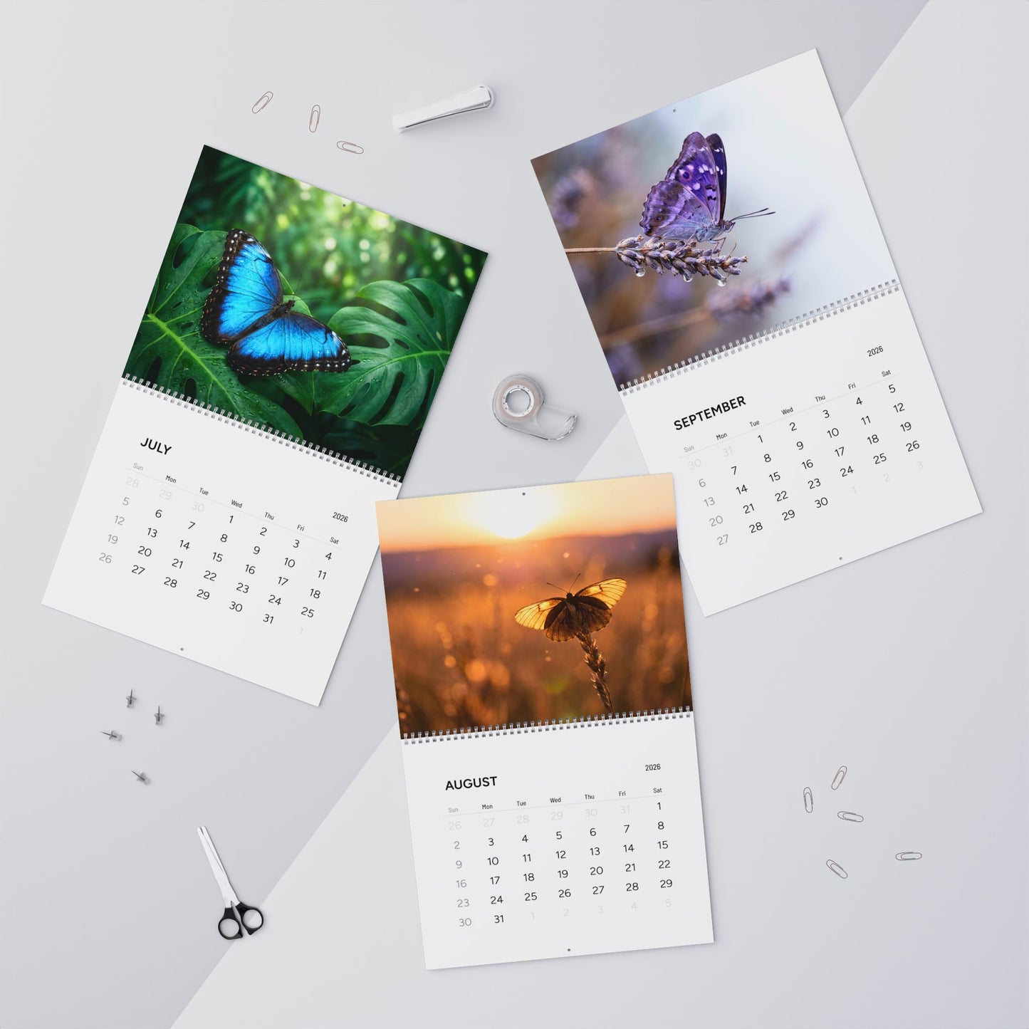 Butterflies 2026 Fine Art Wall Calendar