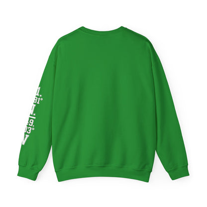 Green sweatshirt with white text on sleeve against a white background