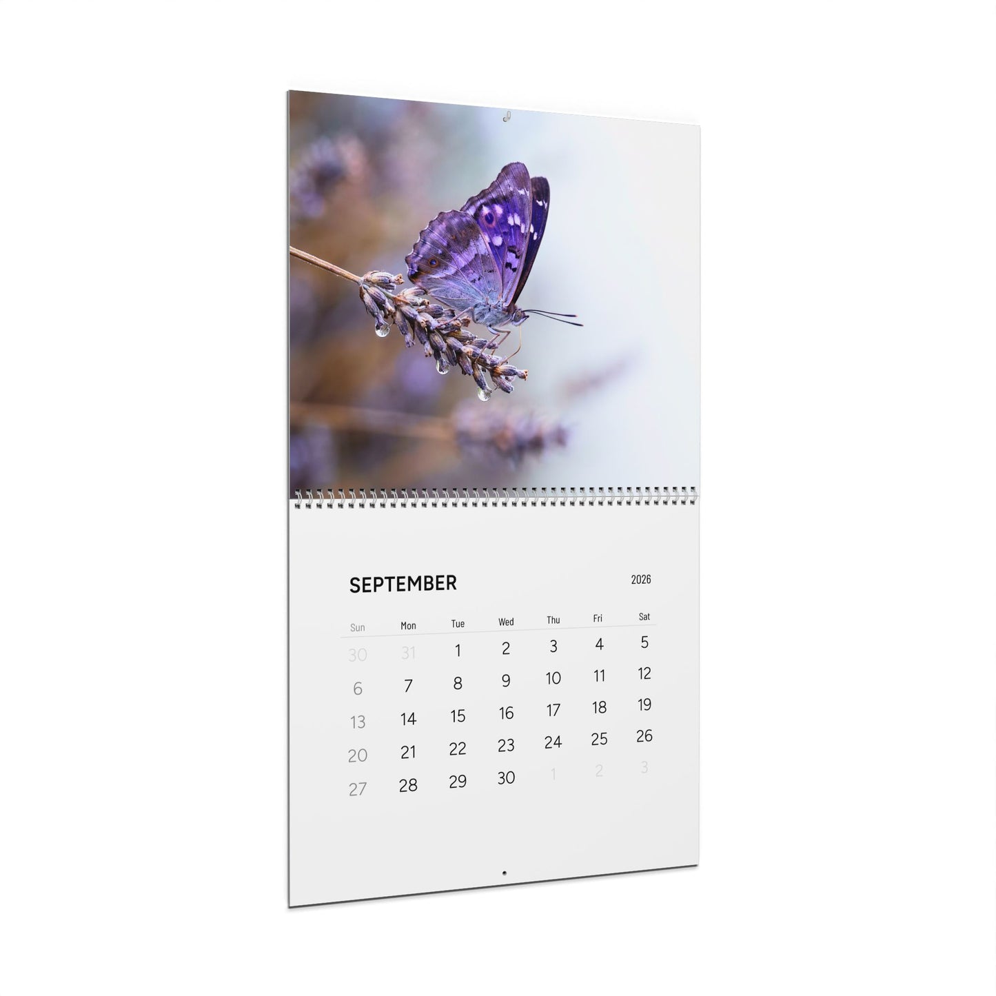 Calendar with a butterfly on lavender design, showing September 2023.