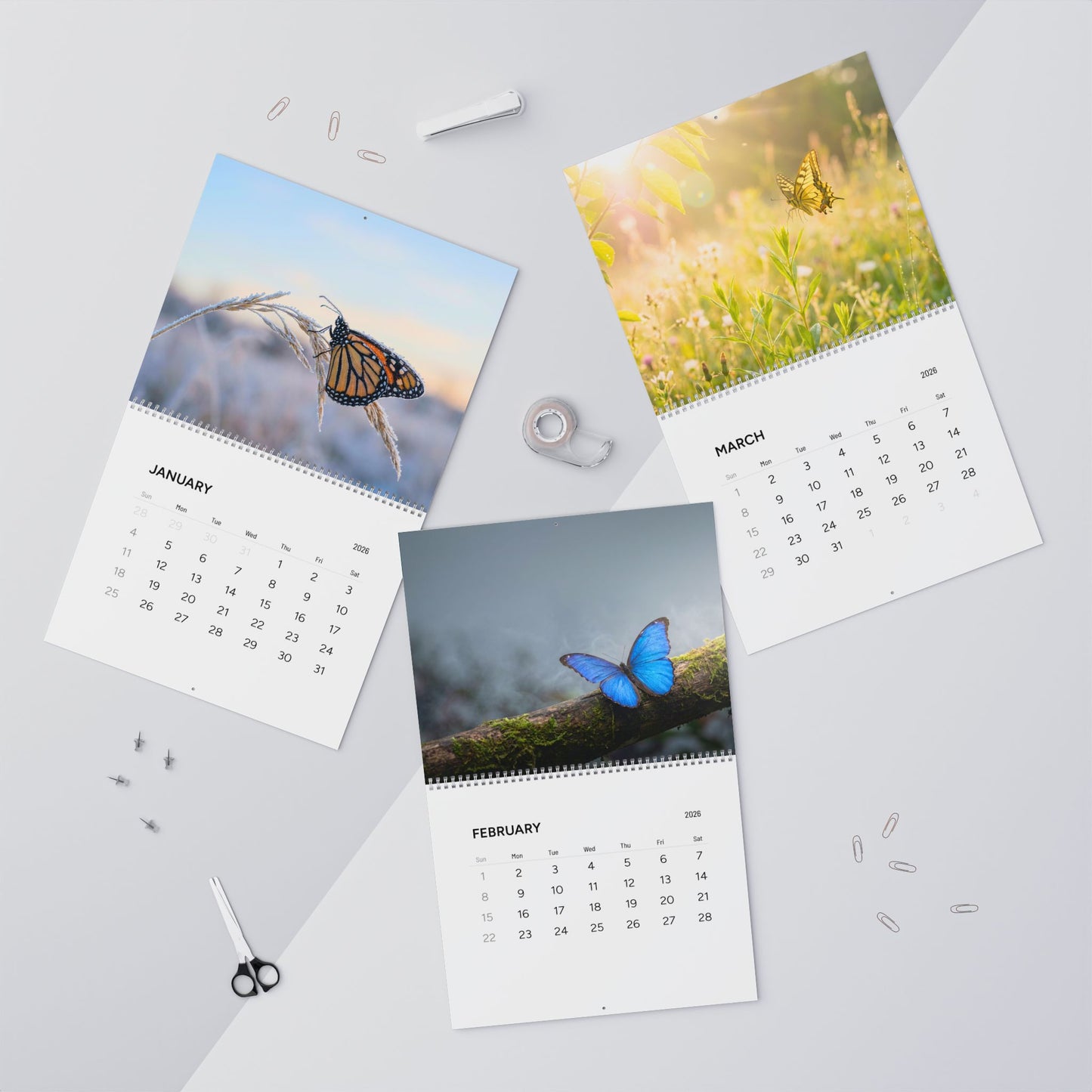 Butterflies 2026 Fine Art Wall Calendar