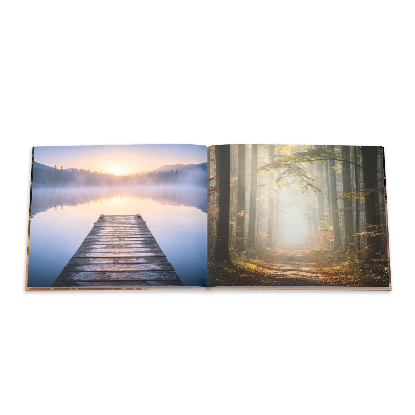 Open book showing two scenic images: a dock by a lake and a forest with fog.