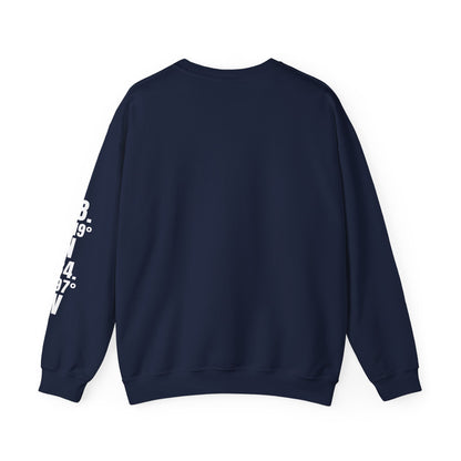 Juneau Bald Eagle Cotton Crewneck Sweatshirt | Wild Alaska Series Edition 🦅🌲❄️