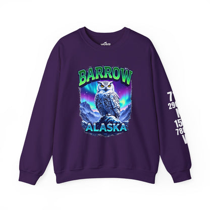 Barrow Owl Cotton Crewneck Sweatshirt | Wild Alaska Series Edition 🦅🇨🇦