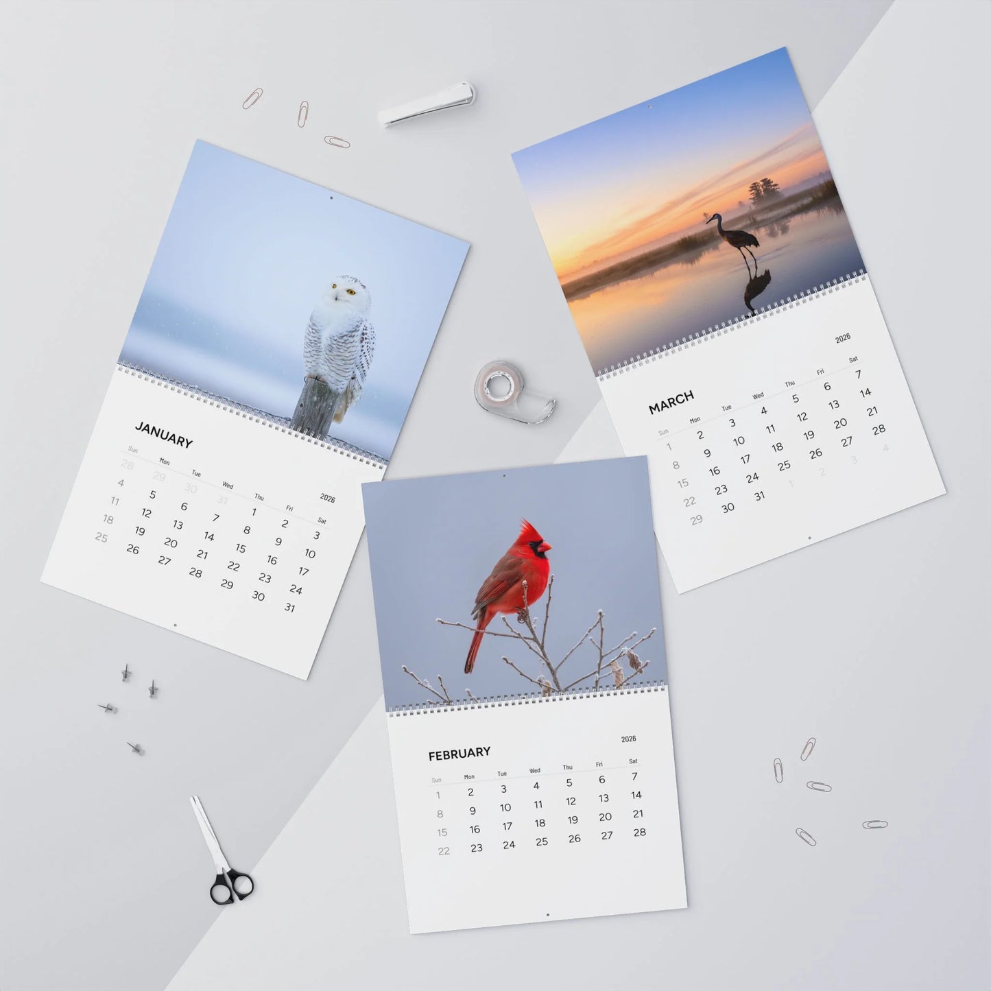 Four calendar pages showing different scenes on a light gray background