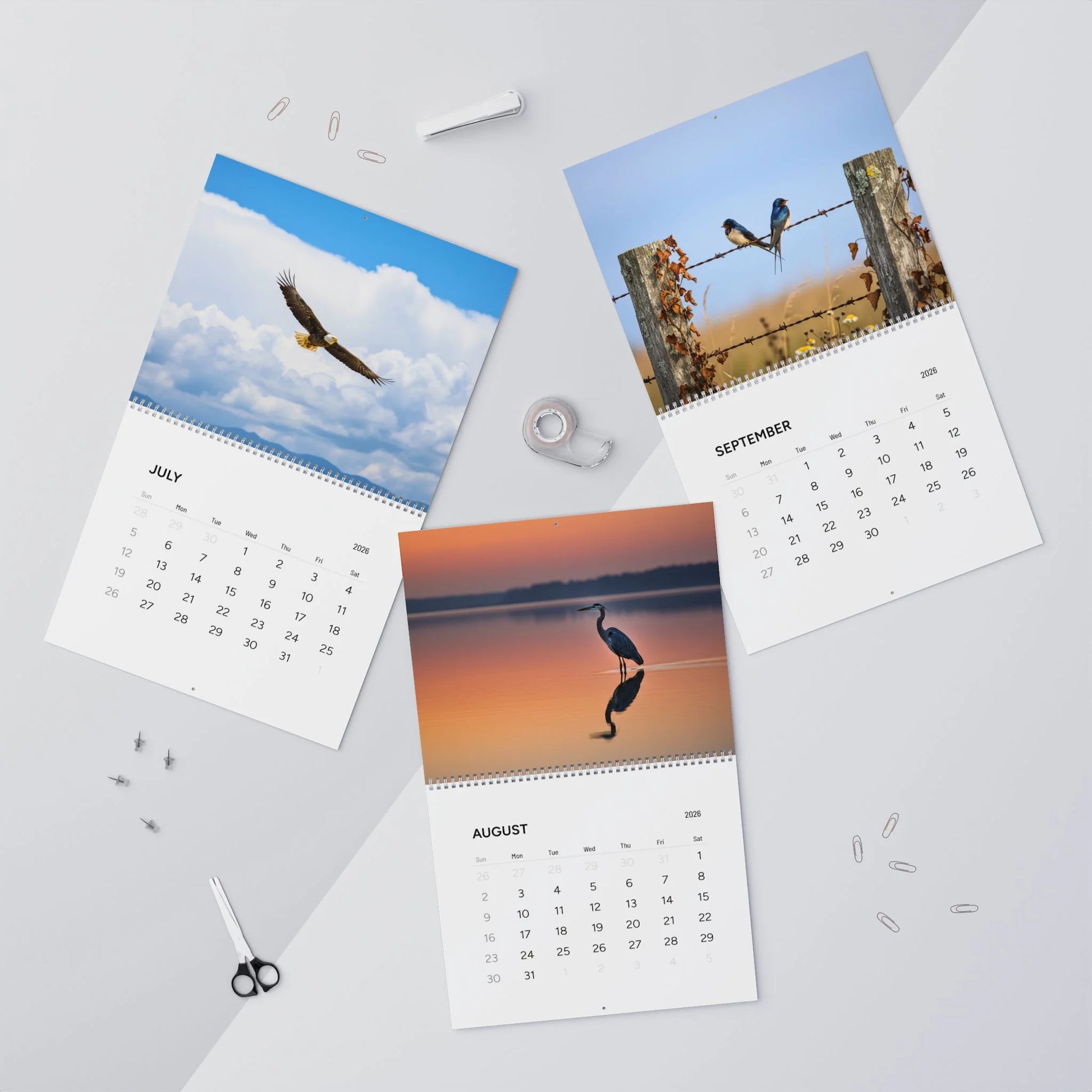 Four calendar pages showing different scenic images of birds on a light gray background.