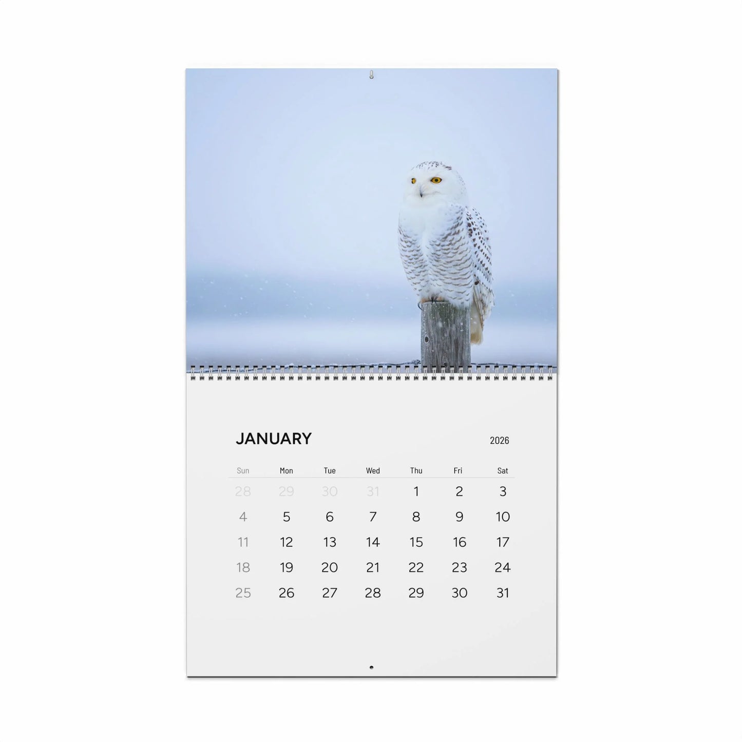 Calendar with a snowy owl on a post for January 2023.