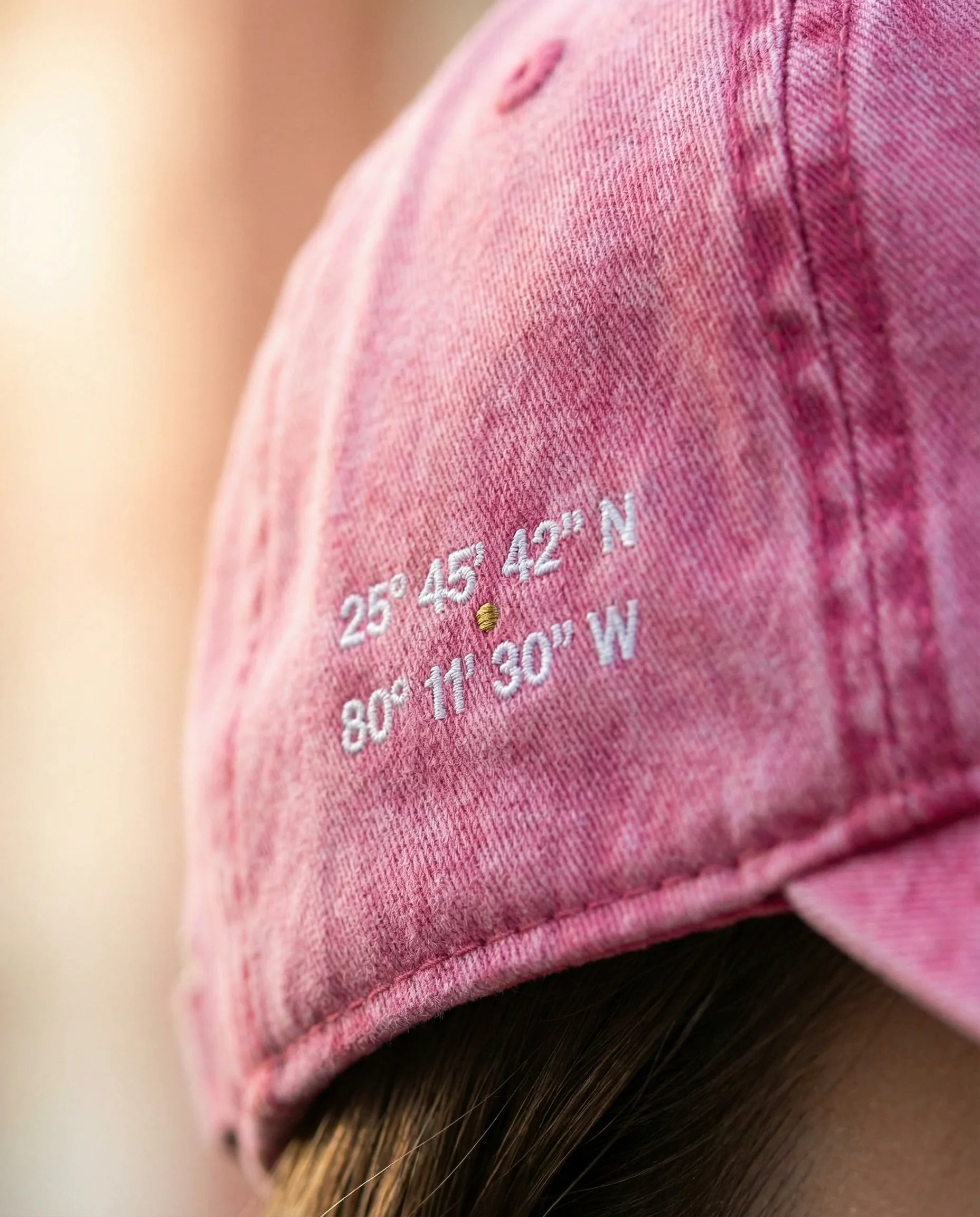 Closeup showing city coordinates.