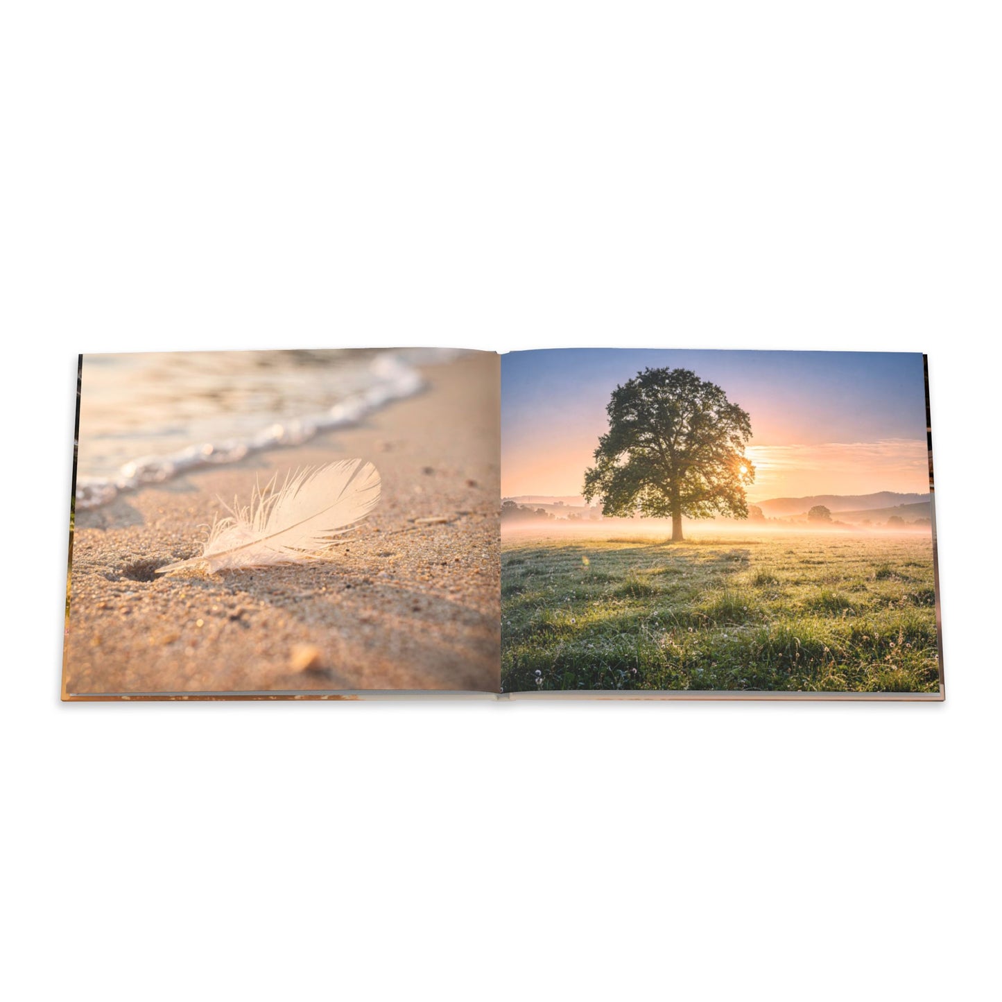 Open book showing two scenic images: a feather on sand and a tree in a field at sunset.