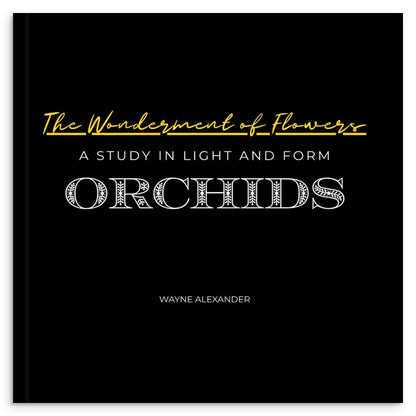 c7604185-088e-43e7-8001-117328e93bd9