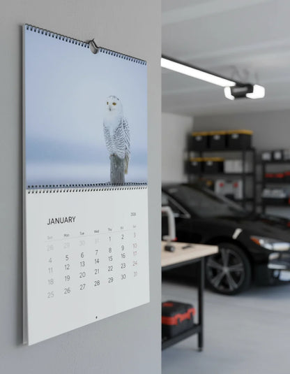 Birds 2026 Wall Calendar – A Year of Birds in Flight and Stillness